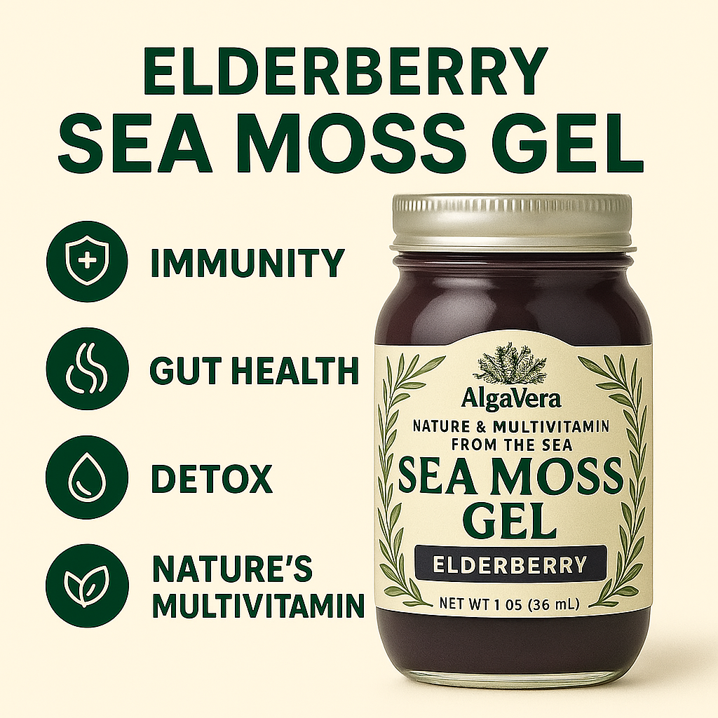 AlgaVera Elderberry Sea Moss Gel – Organic Superfood for Gut Health, Detox & Immunity – 16 oz