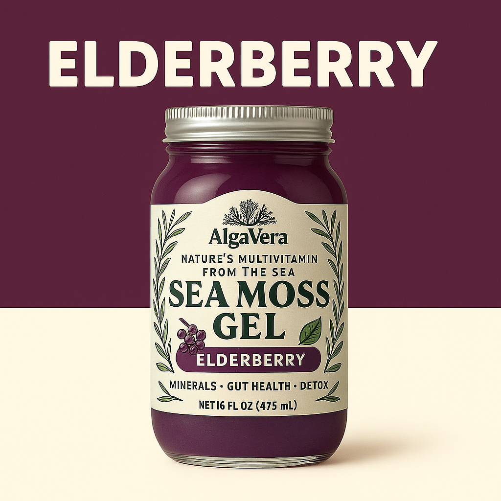 AlgaVera Elderberry Sea Moss Gel – Organic Superfood for Gut Health, Detox & Immunity – 16 oz