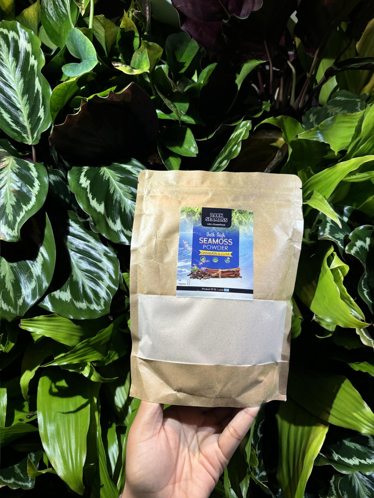 Dark Seamoss Dark Dash Cinnamon & Clove Sea Moss Powder